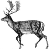 pourya profile image