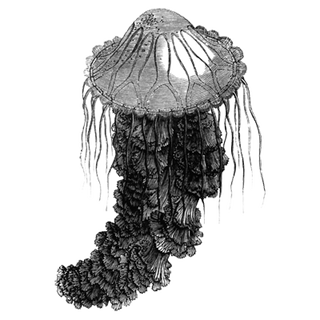 Miguel Alecio profile picture