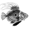 alpileantry profile image