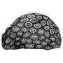 satarah_189 profile image