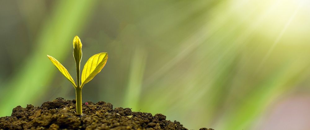 Cover image for Your Weekly Roundup
