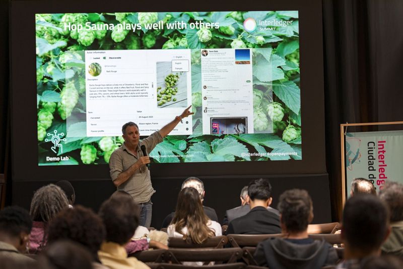 Hop Sauna plays well with others, presented by Gavin at the Interledger Summit