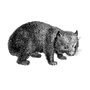 kakoma profile image