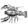 premierketogummy profile image