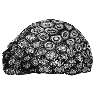 mglspwxbit@zudpck.com profile picture