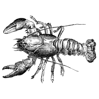 Michael Caster profile picture