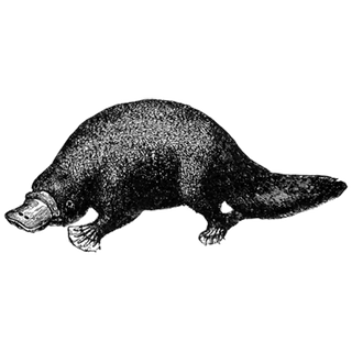 Vineel Test profile picture