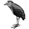 raibim profile image