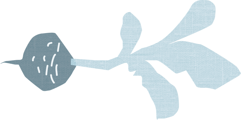 Cover image for Nonprofit Fundraising Tactics