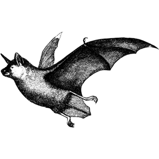 Josiah M profile picture