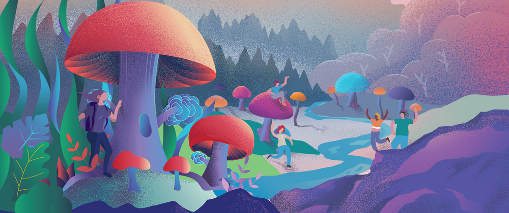 Cover image for itme.online is now Understory Garden - Grant Report #2