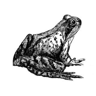 eqlxgkks profile picture