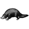 breblackmon2 profile image