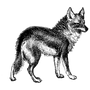 jinfolonk profile