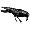 skinbiotixis profile image