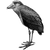 Raibim