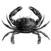 letrealprice profile image