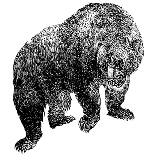 John Allsopp profile picture