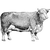 renricv profile image