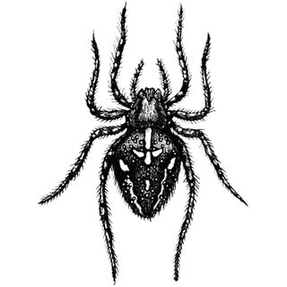 Frank profile picture