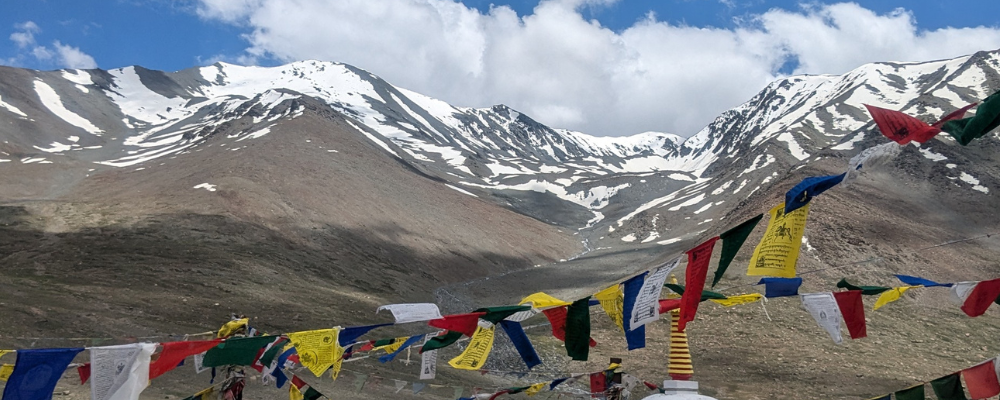 Cover image for 'Pinging Paradise' — ILF Ambassador Progress Report