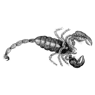 Faith Mwangi profile picture