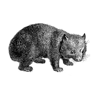 Cassie Rasugu profile picture