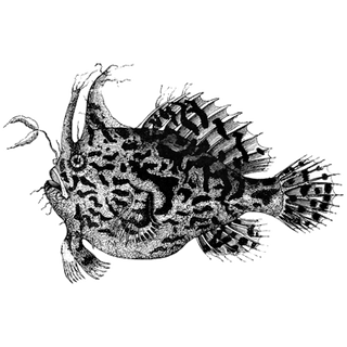 Deborah Nyi profile picture