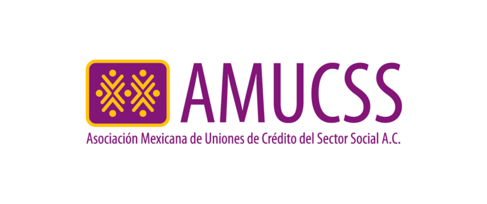 Cover image for AMUCSS — ILF Grant Progress Report