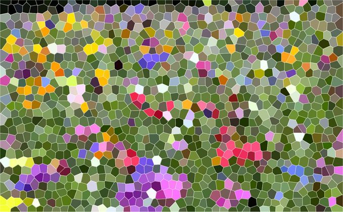 Cover image for Your Weekly Roundup