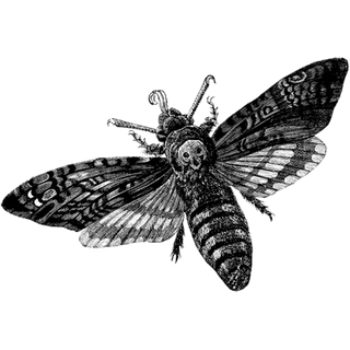 Sanjuke profile picture