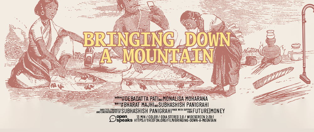 Cover image for Bringing Down a Mountain — Future Money Progress Grant Report #1