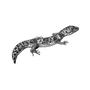 elaoblak_537 profile