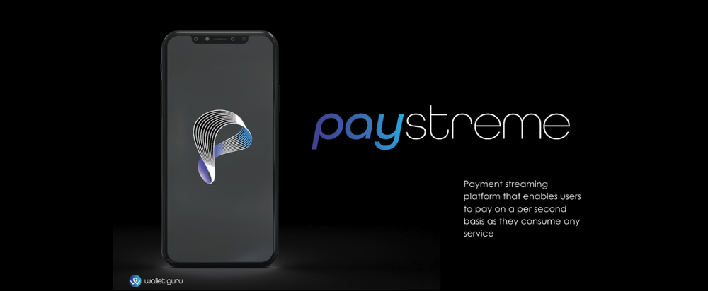 Cover image for Paystreme Progress Report