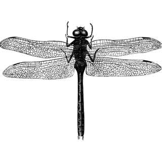 Ayomide profile picture