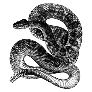 Sanjuk profile picture