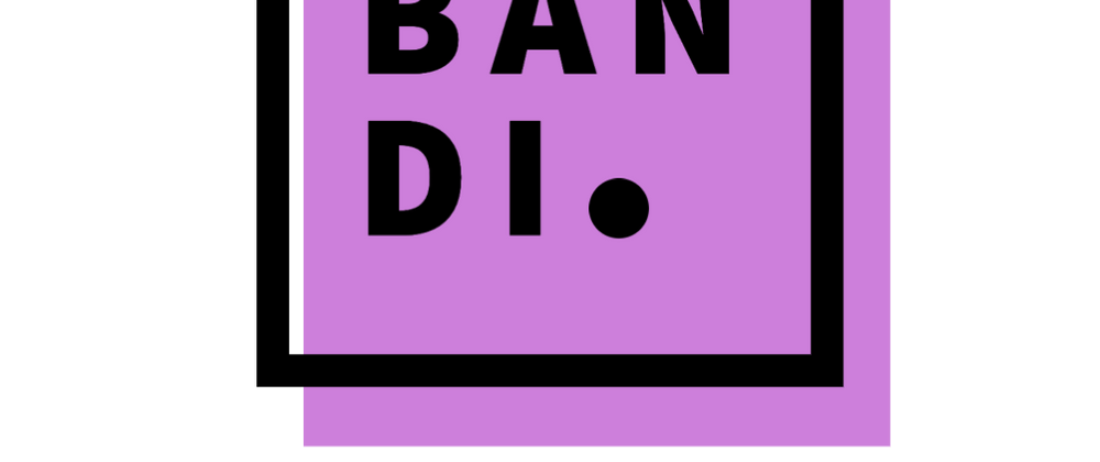 Cover image for Bandi — Final Grant Report