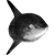 austin82222 profile image