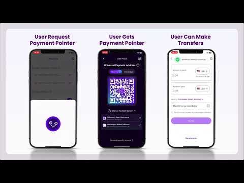 Chimoney Interledger Demo